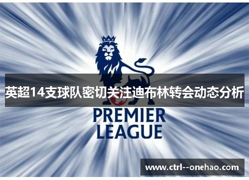 英超14支球队密切关注迪布林转会动态分析