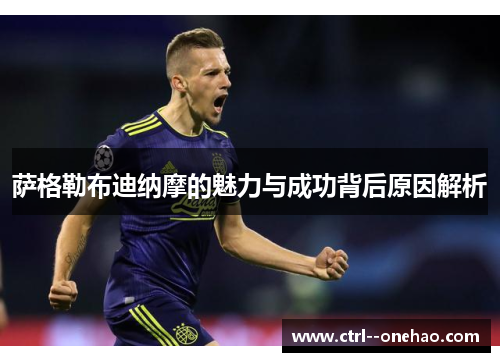 萨格勒布迪纳摩的魅力与成功背后原因解析 萨格勒布迪纳摩的魅力与成功背后原因解析