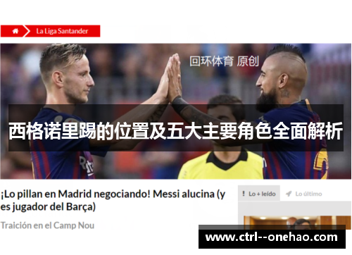 西格诺里踢的位置及五大主要角色全面解析 西格诺里踢的位置及五大主要角色全面解析