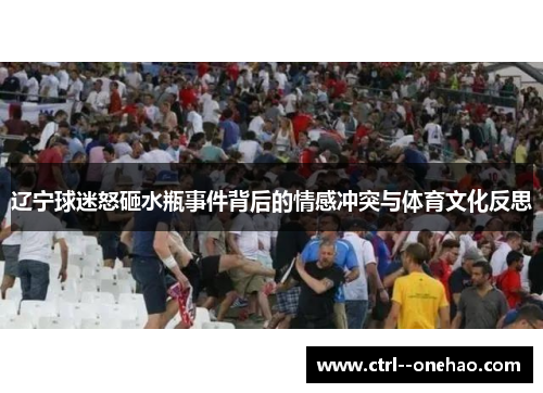 辽宁球迷怒砸水瓶事件背后的情感冲突与体育文化反思