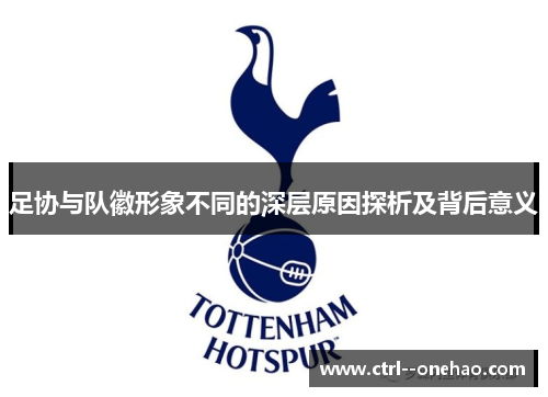 足协与队徽形象不同的深层原因探析及背后意义